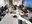 ACS-2016-Sprinting.JPG