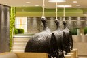 AQUA DOME_SPA 3000_Hängekörbe.jpg